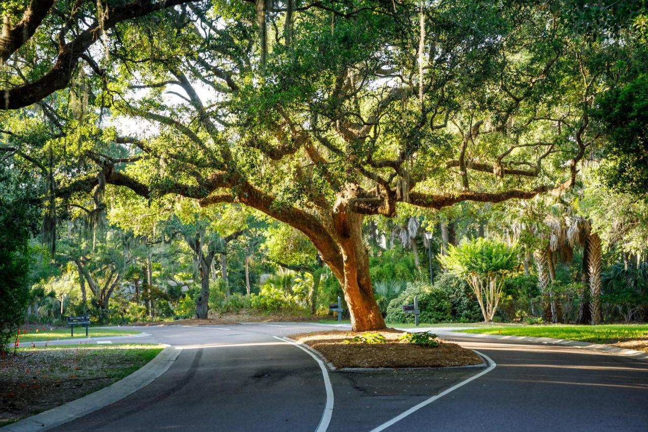 1313 Pelican Watch - Seabrook Island - Beachfront 5 Star Condo - Fido Friendly Eksteriør billede