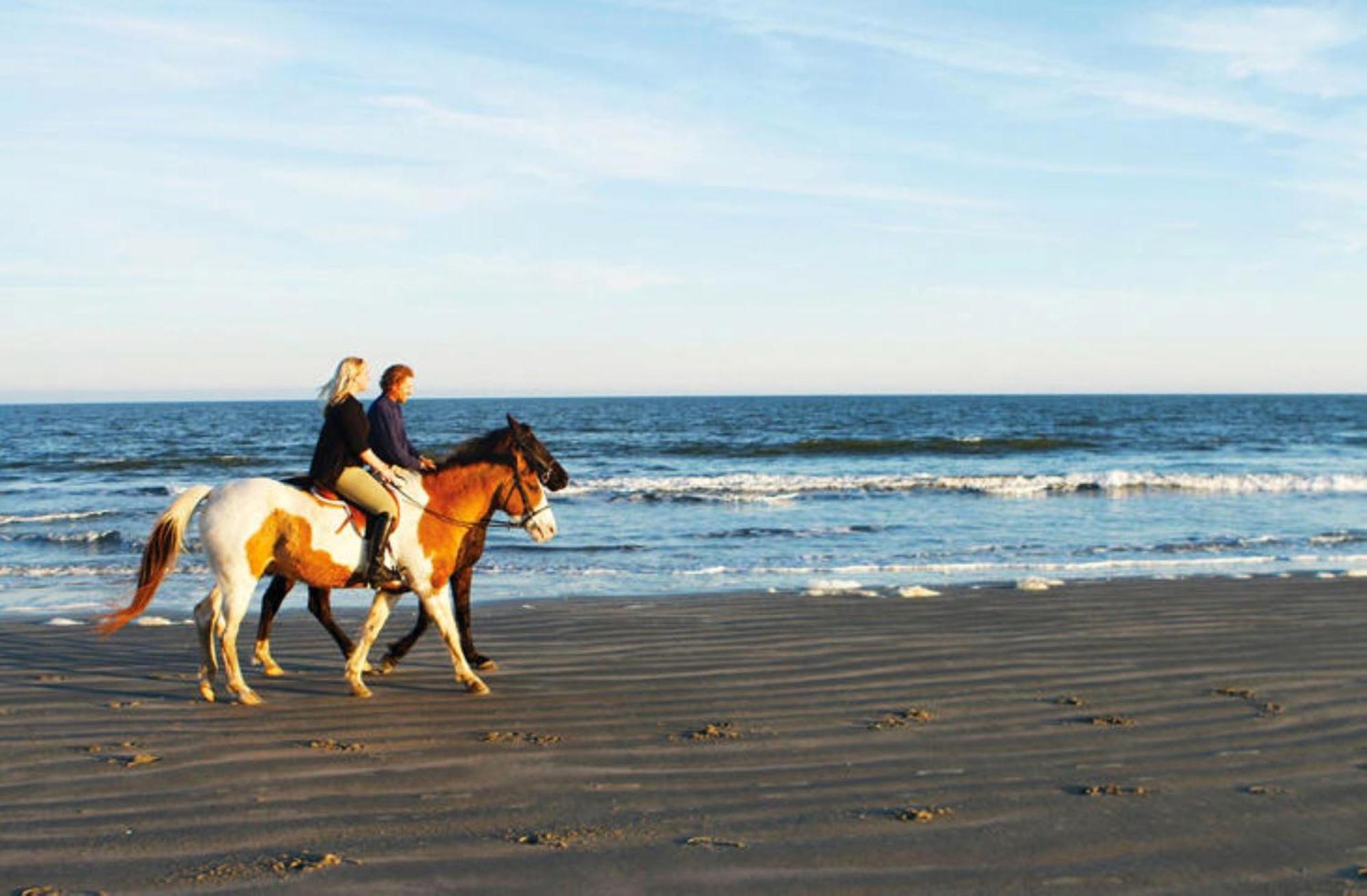 1313 Pelican Watch - Seabrook Island - Beachfront 5 Star Condo - Fido Friendly Eksteriør billede